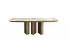 EFORMA table PLAI